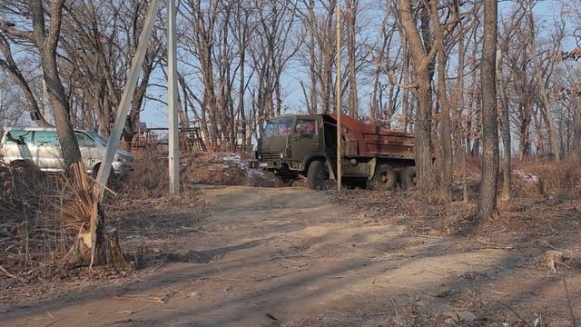 Незаконную вырубку деревьев зафиксировали в районе улицы Гражданской во Владивостоке.