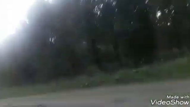 A trip to pick berries. смотреть онлайн