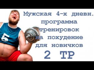 Мужская 4 х дневная программа тренировок на похудение для новичков (2 тр)