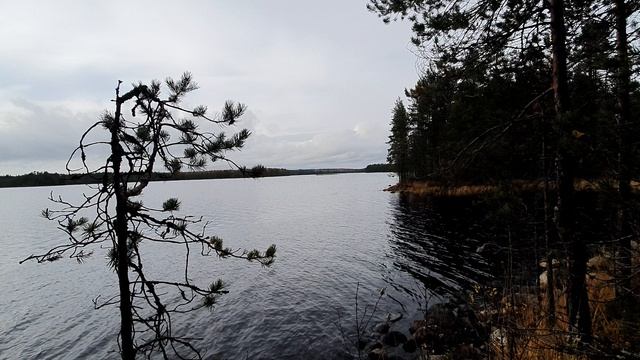 ОСТАЛСЯ ОДИН В ЛЕСУ СЕЛ АККУМУЛЯТОР - О ФАНАРИКАХ ЗАРЯДНЫХ МЕДВЕДЯХ И ПРОЧЕМ. смотреть онлайн