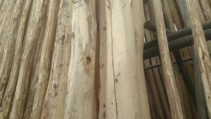 Гулустон Сайхун  тахта бозори нархлари
