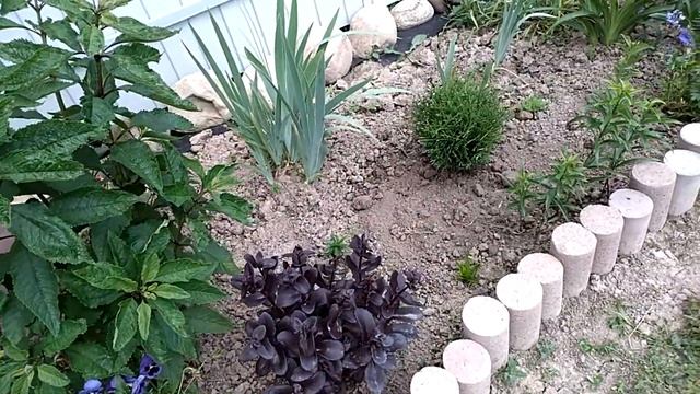 Делаем "ленивую"клумбу смотреть онлайн