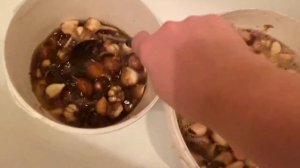 Посадка Озимого Чеснока на Чёрную Плёнку!??Замачивание Чеснока в Солевом Растворе и Марганцовке!?