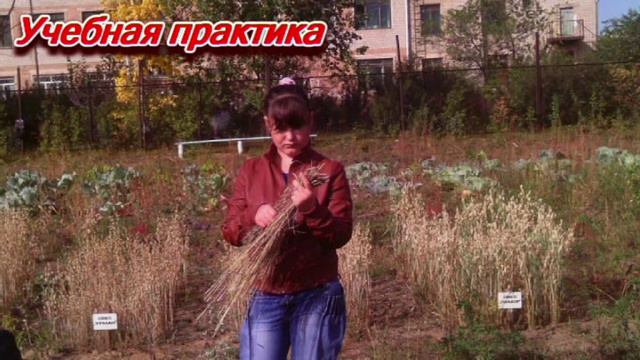 НАТ