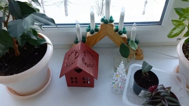 Перестановка в мастерской. Новая картина в стиле Urban Jungle , DIY идеи Чем занималась на каникула смотреть онлайн