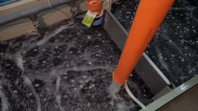 Из СТАРОГО СКЛАДА в КРУПНУЮ МАЛЬКОВУЮ ФЕРМУ! | Обзор УЗВ по выращиванию МАЛЬКА ФОРЕЛИ