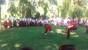 ВЫСТУПЛЕНИЕ ШКОЛЫ БОЕВОГО ГОПАКА .