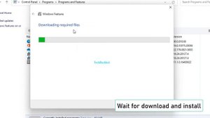 .Net Framework 3.5 Error 0x80070422 Or Error 0x800f081f In Windows 10 - 2 Fix How To