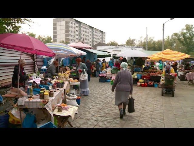 "Уже месяц в Бийске работает ярмарка "Дары Алтая" (Будни, 07.09.17г, Бийское телевидение)