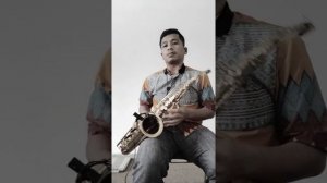 Fly Me To The Moon ( saxophone cover )