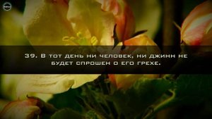 КАК КРАСИВО ОН ЧИТАЕТ КОРАН!