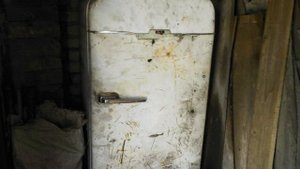 пропавшего мальчика нашли мертвым в холодильнике