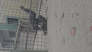 Зоопарк Бердянск