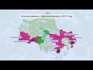 Клещи в Подмосковье