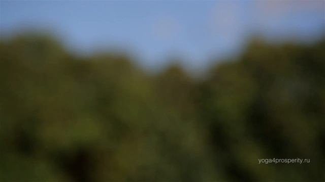 Медитация для распознавания процветания смотреть онлайн