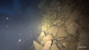 Собираем раков. Рак жрет рыбу под водой