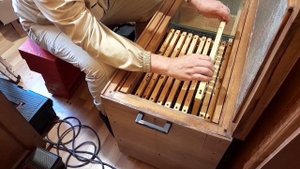 ИНКУБАТОР ДЛЯ ВЫВОДА ПЧЕЛИНЫХ МАТОК. своими руками.