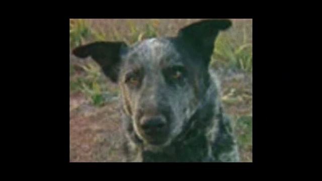 WANTED FUGITIVE | Where is Robert William Fisher | 100K REWARD смотреть онлайн