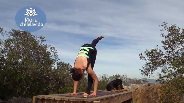 ЙОГА НА ВСЕ ТЕЛО. Йога для продолжающих. Йога chilelavida смотреть онлайн