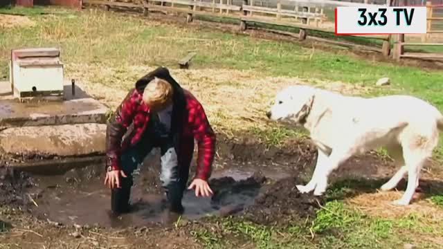 Подборка The Best приколов смотреть онлайн