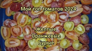 Лучшие детерминантные томаты 2024 года. Показываю урожай, даю описание, разрезаю и собираю семена.