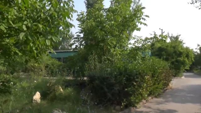 Парк львов "Тайган" 2016. Прогулка по зоопарку. смотреть онлайн