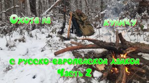 Охота на куницу с русско-европейской лайкой  Часть 2.mp4