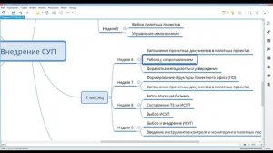 Настройка системы проектного управления в компании. Пошаговый алгоритм