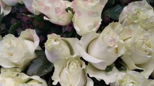 Музыкальный сборник мелодий Сергея Чекалина и вальс красивых композиций цветов. Музыка для души.