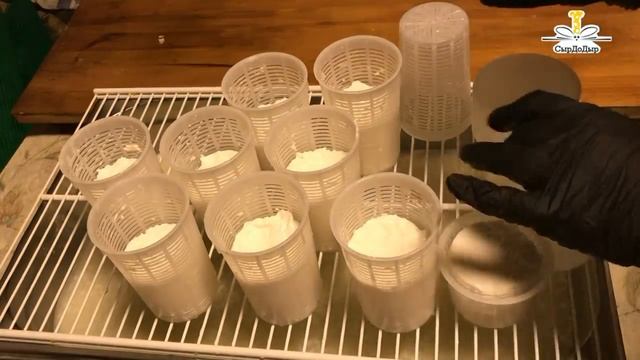 Сыр из козьего молока Кроттен / Crottin смотреть онлайн