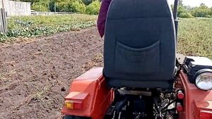 Минитрактором Уралец мастерски копаем картошку