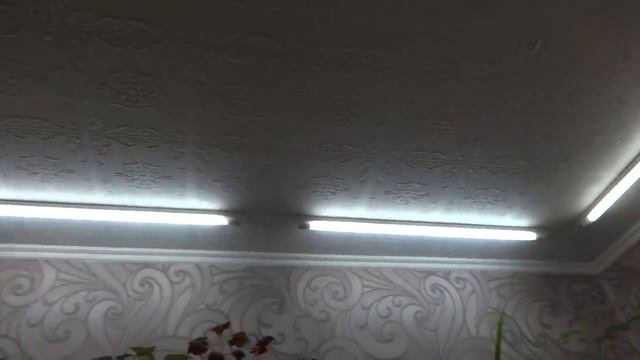 Комнатные цветы/растения. Подсветка для цветов дома. Как и где крепятся лампы.