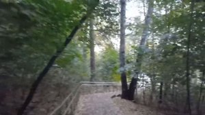 филёвский Парк (Парк Фили) купания в Москве реки 27.09.2022.