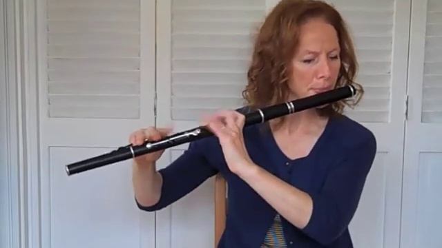 Black Rogue [Jig] - Tune of the Month with Shannon Heaton смотреть онлайн