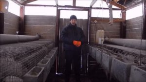 Сколько воды пьют кролики зимой?