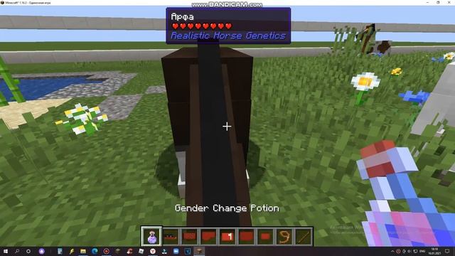 ОБЗОР МОДА ДЛЯ ЛОШАДЕЙ. Horse Tack 2 часть смотреть онлайн