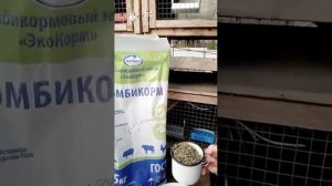КОМБИКОРМ ДЛЯ КРОЛИКОВ. Экокорм, Молвест.