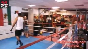 ТОП 5 ИЗБИЕНИЙ НЕПОБЕДИМОГО ОТМОРОЗКА БОКСЁРА - ЧАРЛИ ЗЕЛЕНОФФ