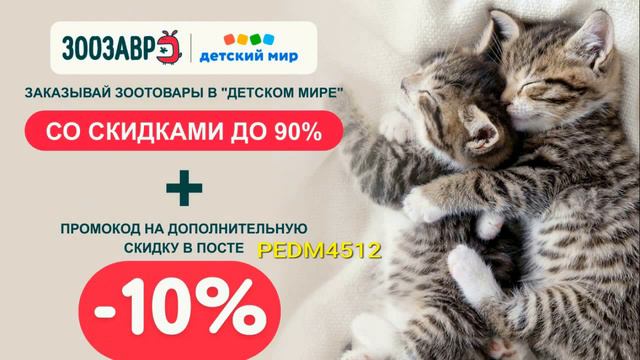 Зоозавр — интернет-магазин зоотоваров на базе магазина "Детский мир" Круглый год акции смотреть онлайн