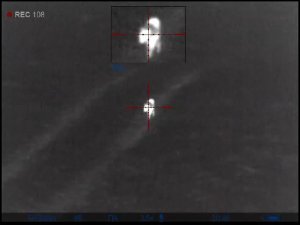 Лиса на манок 6 (223 rem)