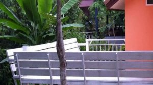 Таиланд, Nakhon Ratchasima, Mu Si - Khao Yai Cottage 2 Star