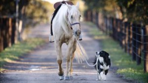 "Страничка Надежды" новая проповедница из Англии.
