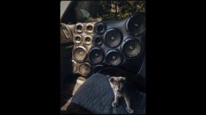 kvpv - Vulgar (rebassed by Matrix 33hz/37hz)