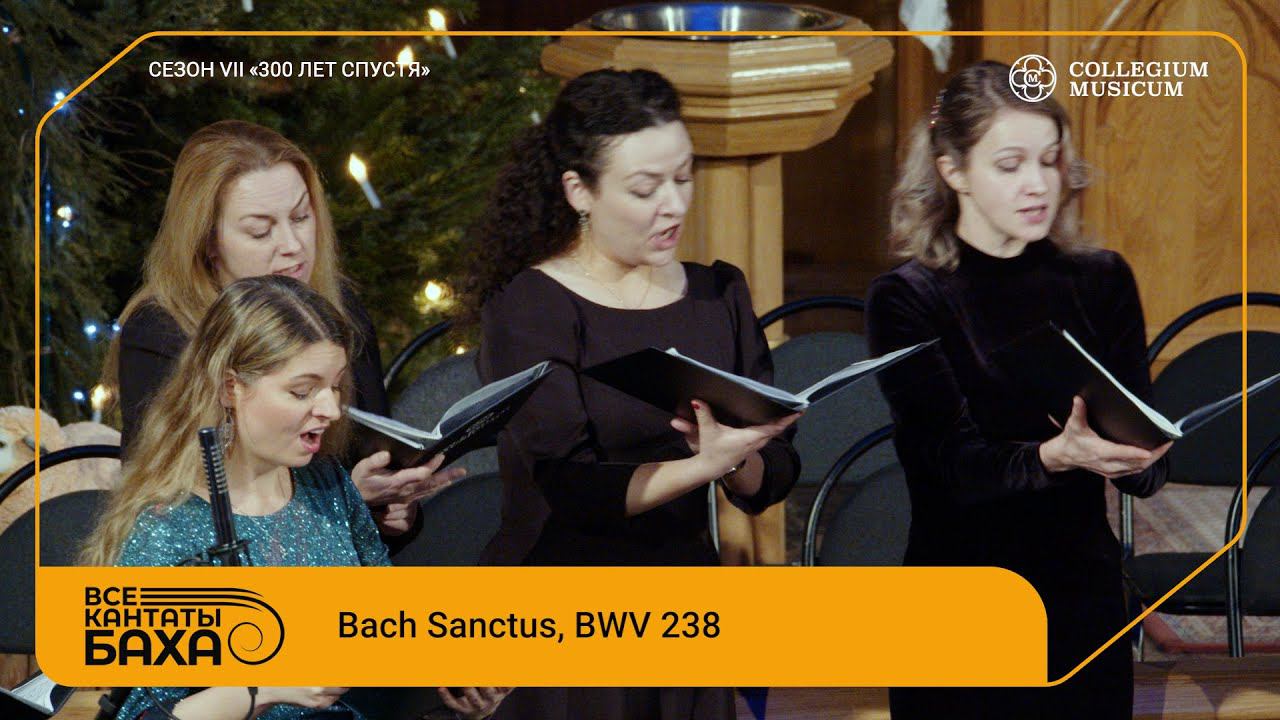 BACH Sanctus BWV 238 смотреть онлайн