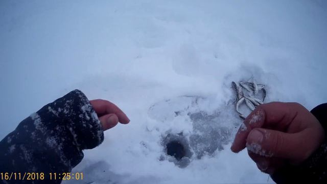 Зимняя рыбалка в Новокузнецкеноябрь 2018