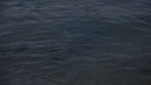 Русский Египет 2022 Хургада Зимой Arabia Azur Отдых в Египте.mp4