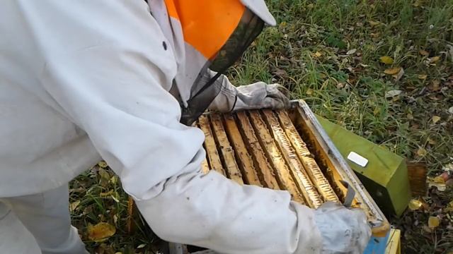 Заключительный осмотр пчелосемей, корма, вентиляция. смотреть онлайн