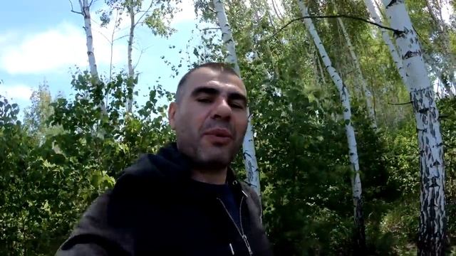 ПОДБЕРЕЗОВИКИ в БЕРЕЗОВОЙ РОЩЕ смотреть онлайн