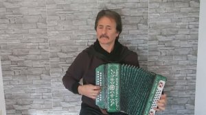 НЕМЕЦКАЯ ПОЛЬКА НА ГАРМОНИ.