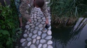 Декорирую берега пруда морской галькой,и как растут мои осетрята